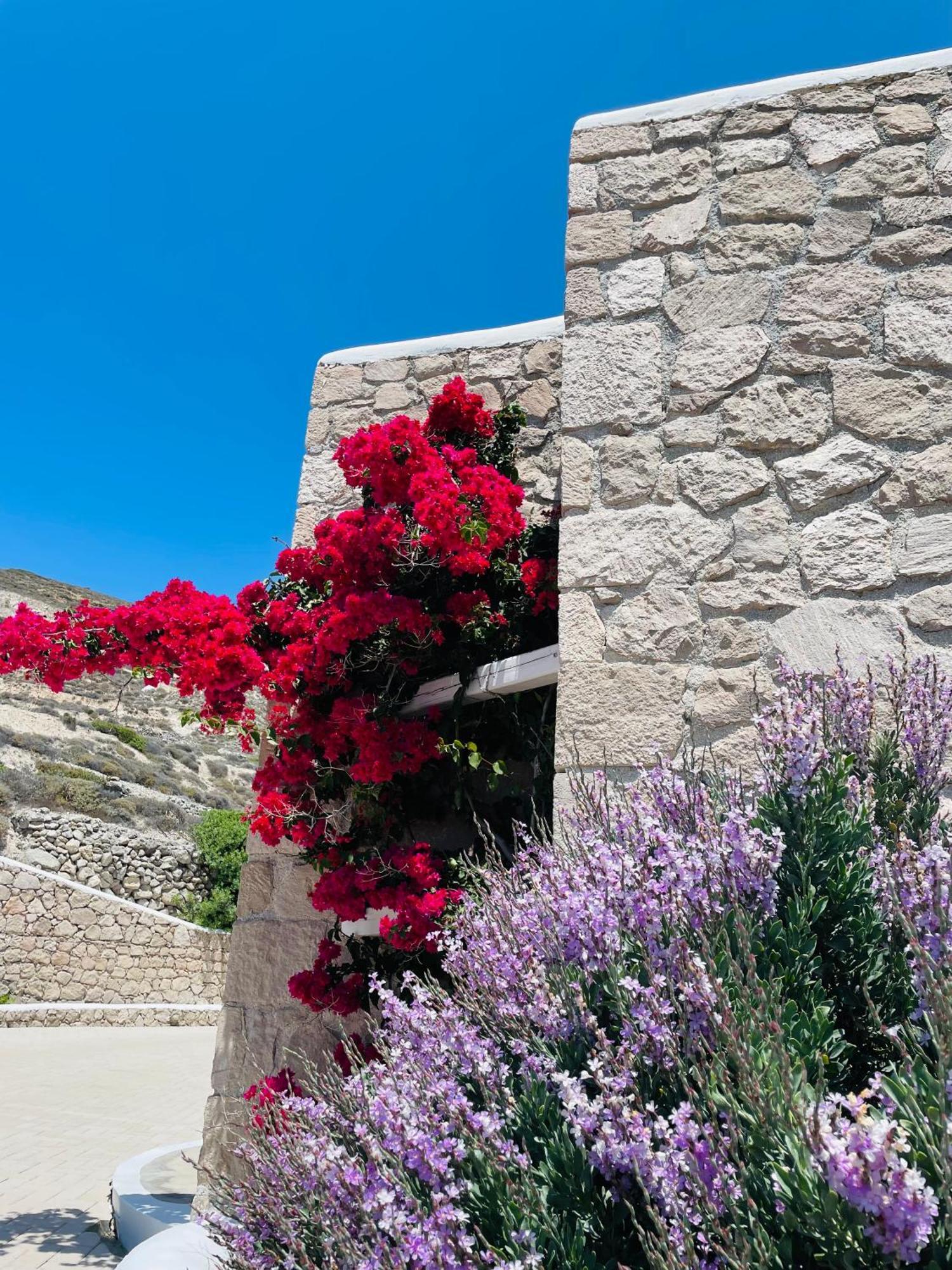 Milo Milo Suites Mandrakia Dış mekan fotoğraf